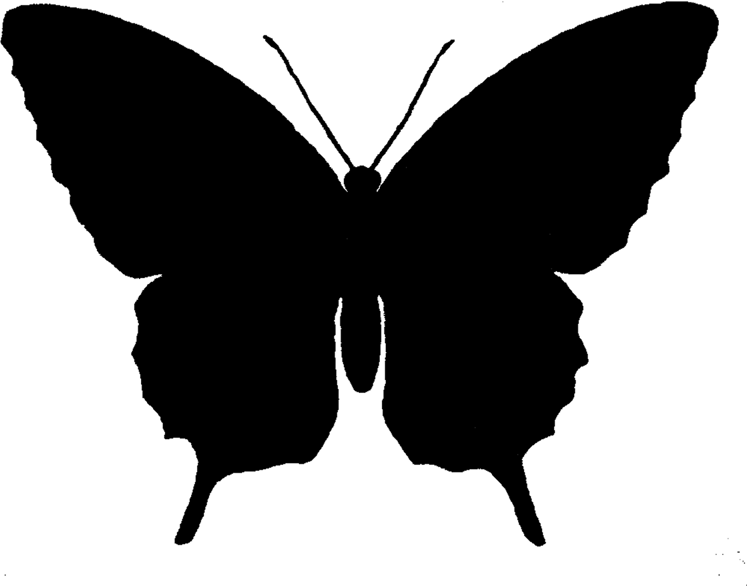 Fluturas.net logo
