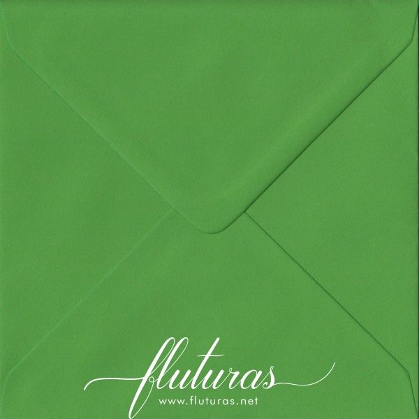 Plic Verde 155x155 mm  Fluturas_Paper   